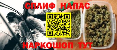 гидра Гусиноозёрск