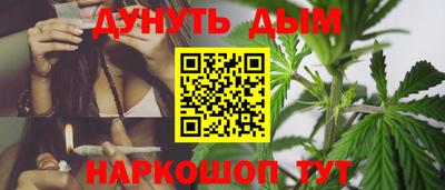 гидра Гусиноозёрск