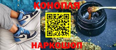 гидра Гусиноозёрск
