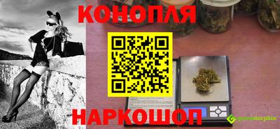 гидра Гусиноозёрск