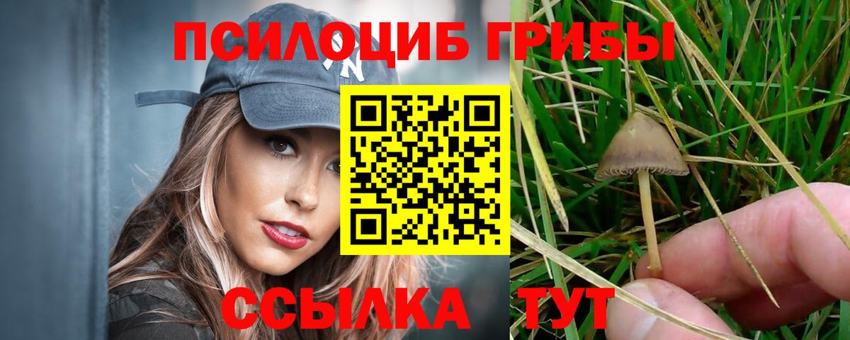Псилоцибиновые грибы мицелий Малгобек